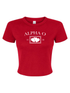 Double Heart Crop Tee- Alpha Omicron Pi