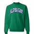 Striped Alpha Gamma Delta Crewneck