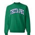 Striped Theta Phi Alpha Crewneck