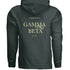 The Motto Hoodie- Gamma Phi Beta