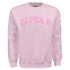 Pink Gingham Sweatshirt- Alpha Omicron Pi