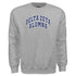 Collegiate Alumna Sweatshirt - Delta Zeta