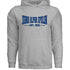Classic Text Hoodie- Sigma Alpha Epsilon