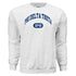 College Arch Sweatshirt- Phi Delta Theta