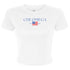 Gingham Flag Crop Tee - Chi Omega