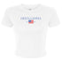 Gingham Flag Crop Tee - Delta Gamma